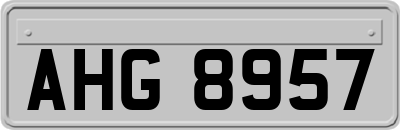 AHG8957