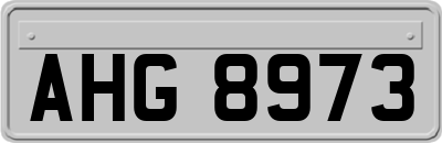 AHG8973