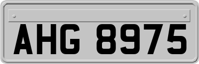 AHG8975