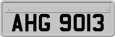 AHG9013
