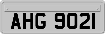 AHG9021