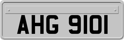 AHG9101