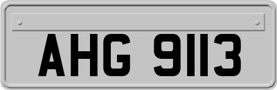 AHG9113
