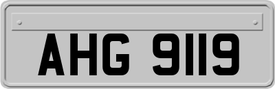 AHG9119