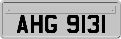 AHG9131
