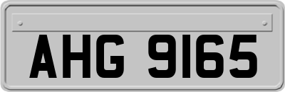 AHG9165