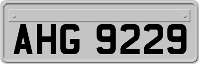 AHG9229