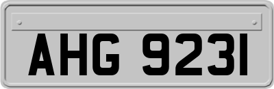 AHG9231