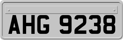 AHG9238