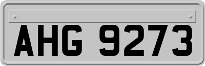 AHG9273