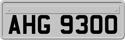 AHG9300