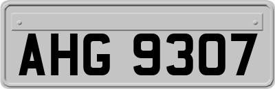 AHG9307