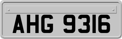 AHG9316