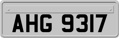 AHG9317