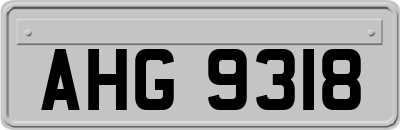 AHG9318