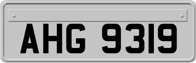 AHG9319