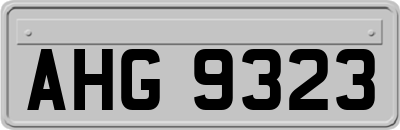 AHG9323