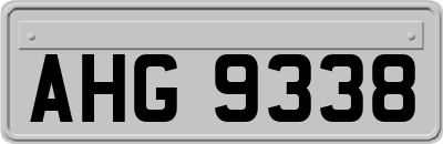 AHG9338