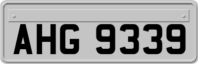 AHG9339