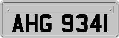 AHG9341
