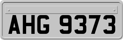 AHG9373