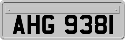 AHG9381