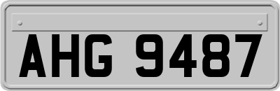 AHG9487