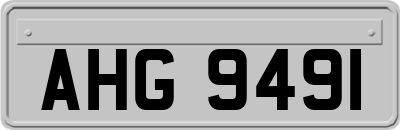 AHG9491