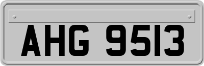 AHG9513