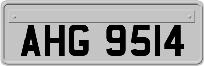 AHG9514