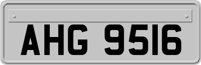 AHG9516