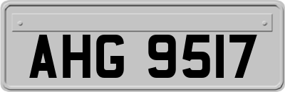 AHG9517