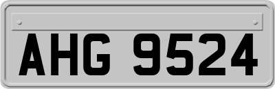 AHG9524