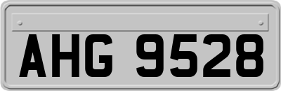 AHG9528