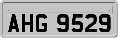 AHG9529
