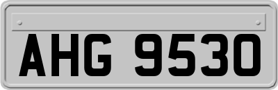 AHG9530