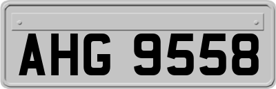 AHG9558