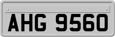 AHG9560