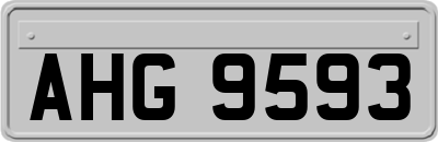 AHG9593