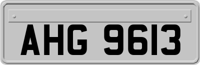 AHG9613