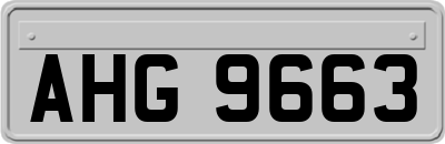AHG9663