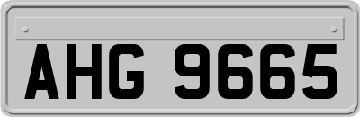 AHG9665