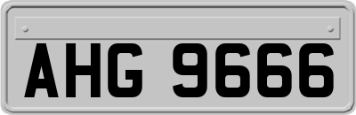 AHG9666
