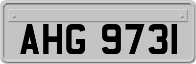 AHG9731