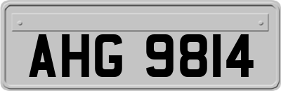 AHG9814