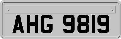 AHG9819