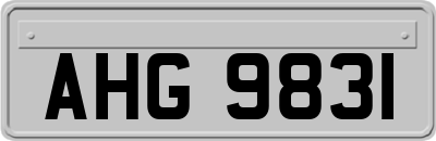 AHG9831
