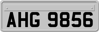 AHG9856