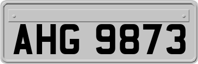 AHG9873