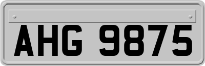 AHG9875